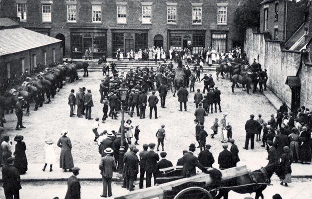 Horses on Market Square